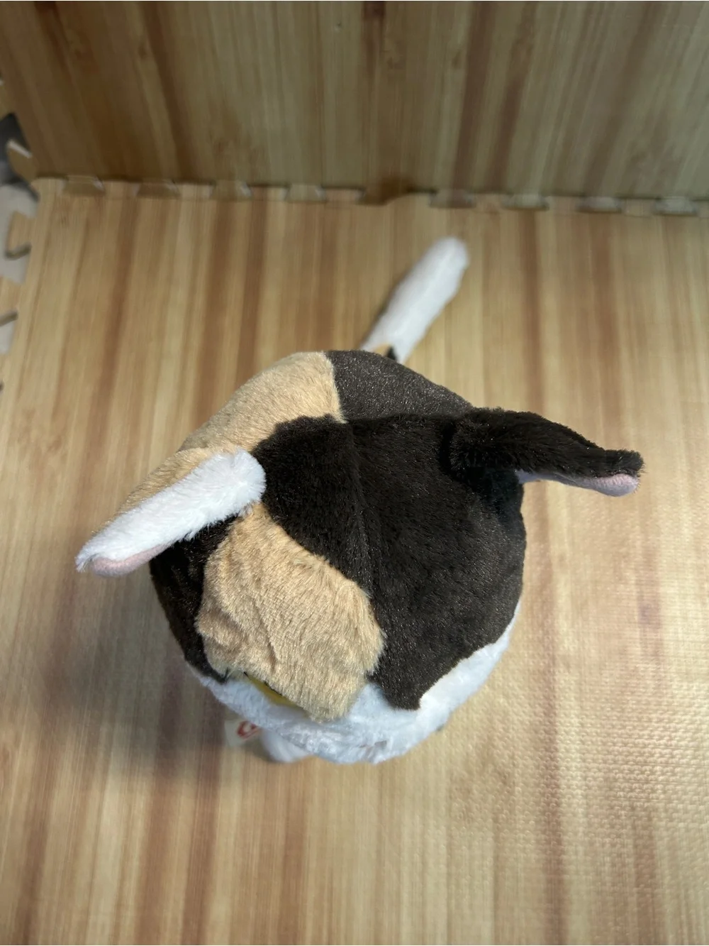 Demon Slayer Chachamaru Cat Special Plush SEGA Prize Anime 12